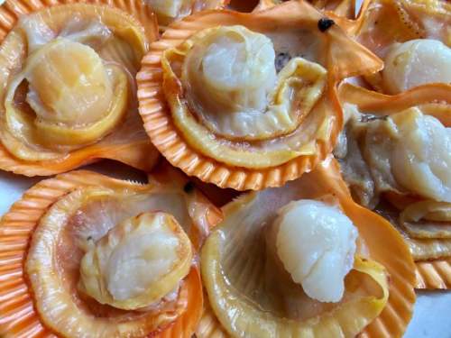 蒜蓉粉丝蒸扇贝