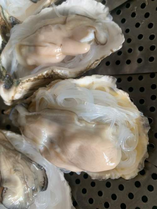 蒜蓉粉丝蒸生蚝