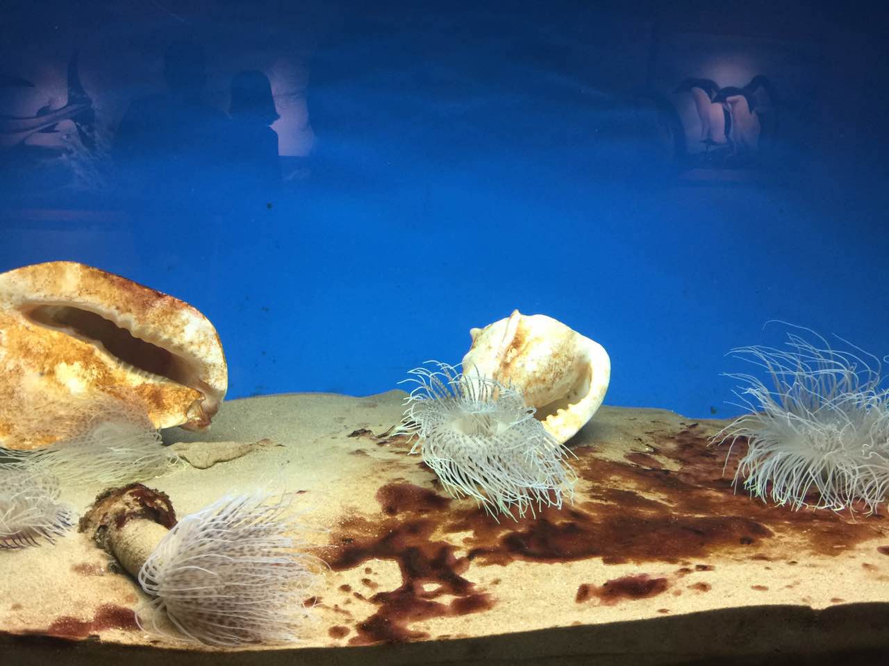 秦皇岛新澳海底世界