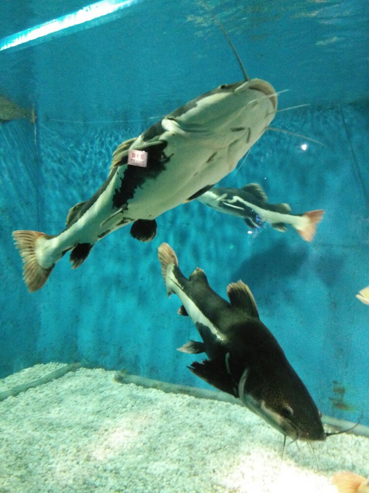 秦皇岛新澳海底世界