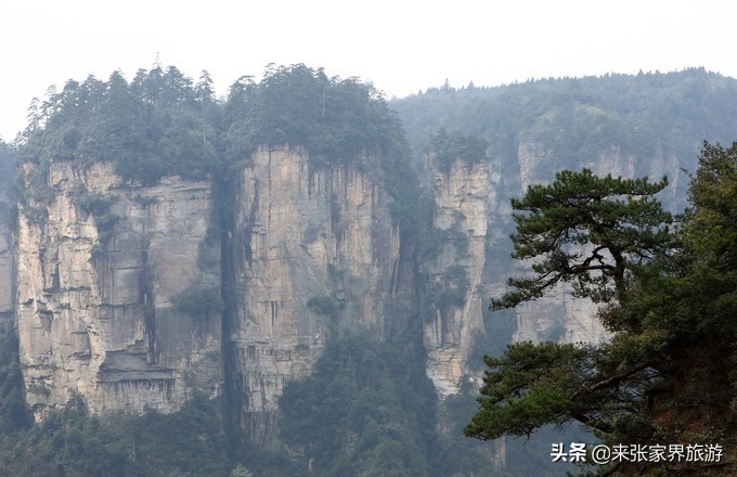 张家界森林公园二日游攻略