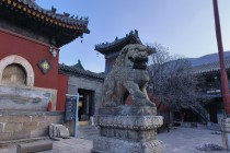 五台山避坑指南：小心这些套路！