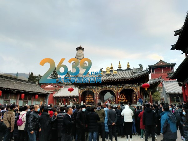 河北大玩家国际旅行社